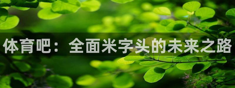 绿茵直播足球直播app：体育吧：全面米字头的未来之路