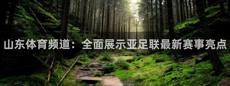 绿茵直播lyzb：山东体育频道：全面展示亚足联最新赛事亮点